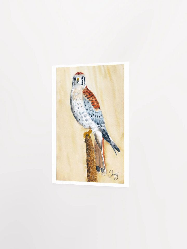 Kestrel Print product image (2)