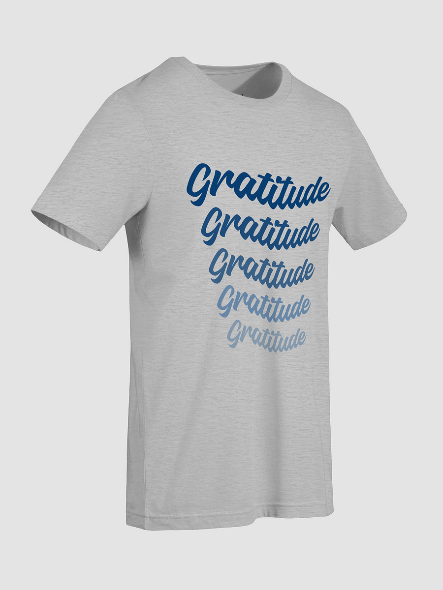Gratitude Banner Tee product image (5)