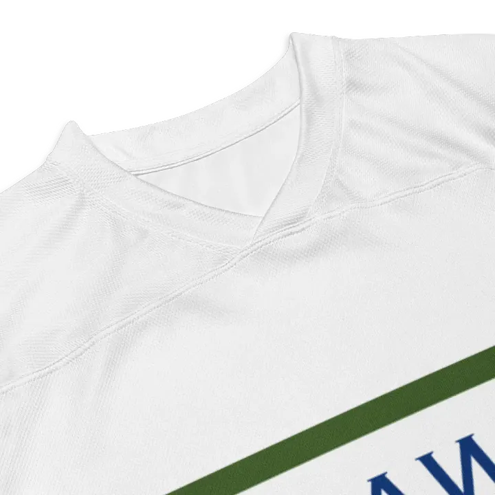 hockey jersey product image (2)