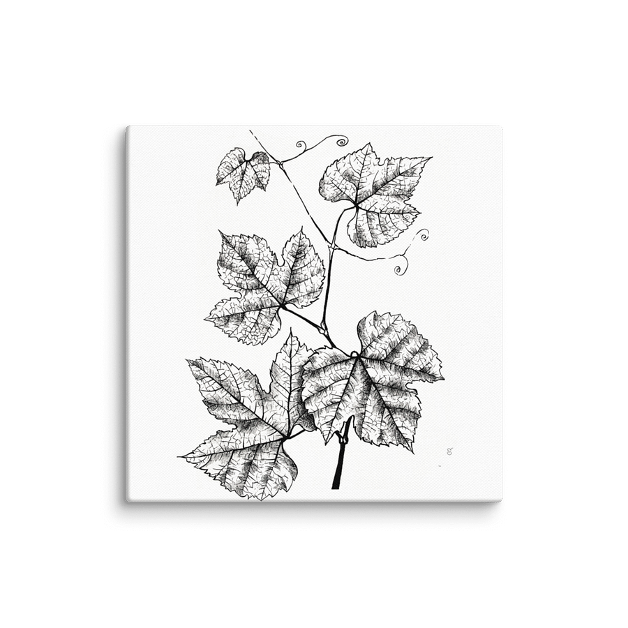 Botanical Bliss Canvas Art - Grape Leaves product image (1)