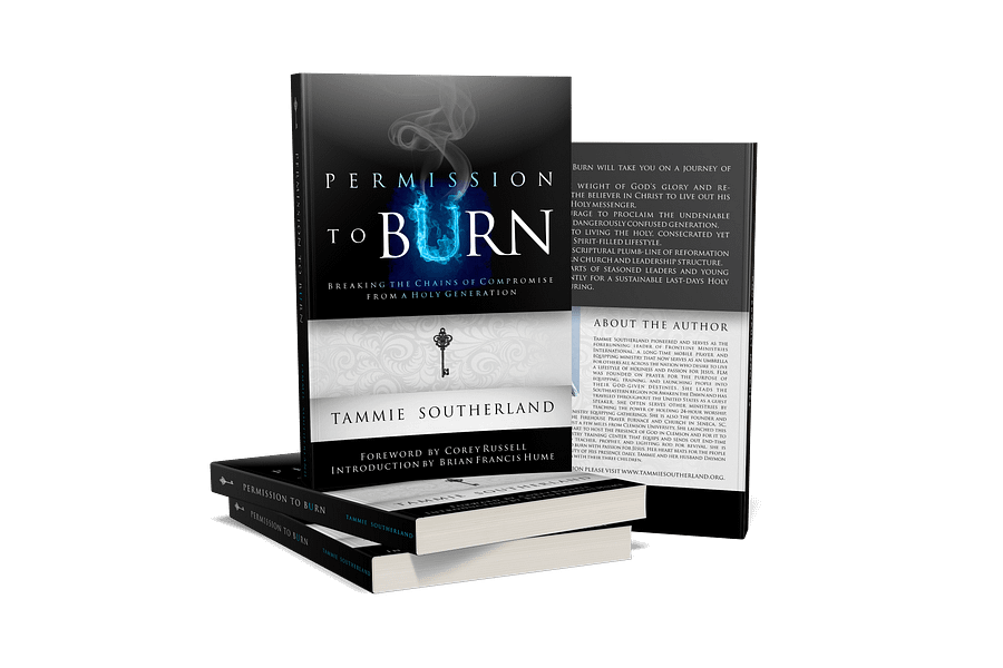 Permission to Burn: Breaking the Chains of Compromise from A Holy Generation product image (3)