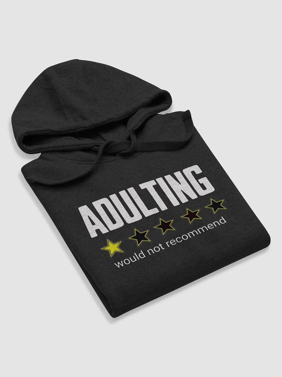 Adulting: Would Not Recommend Hoodie ( Unisex ) product image (4)