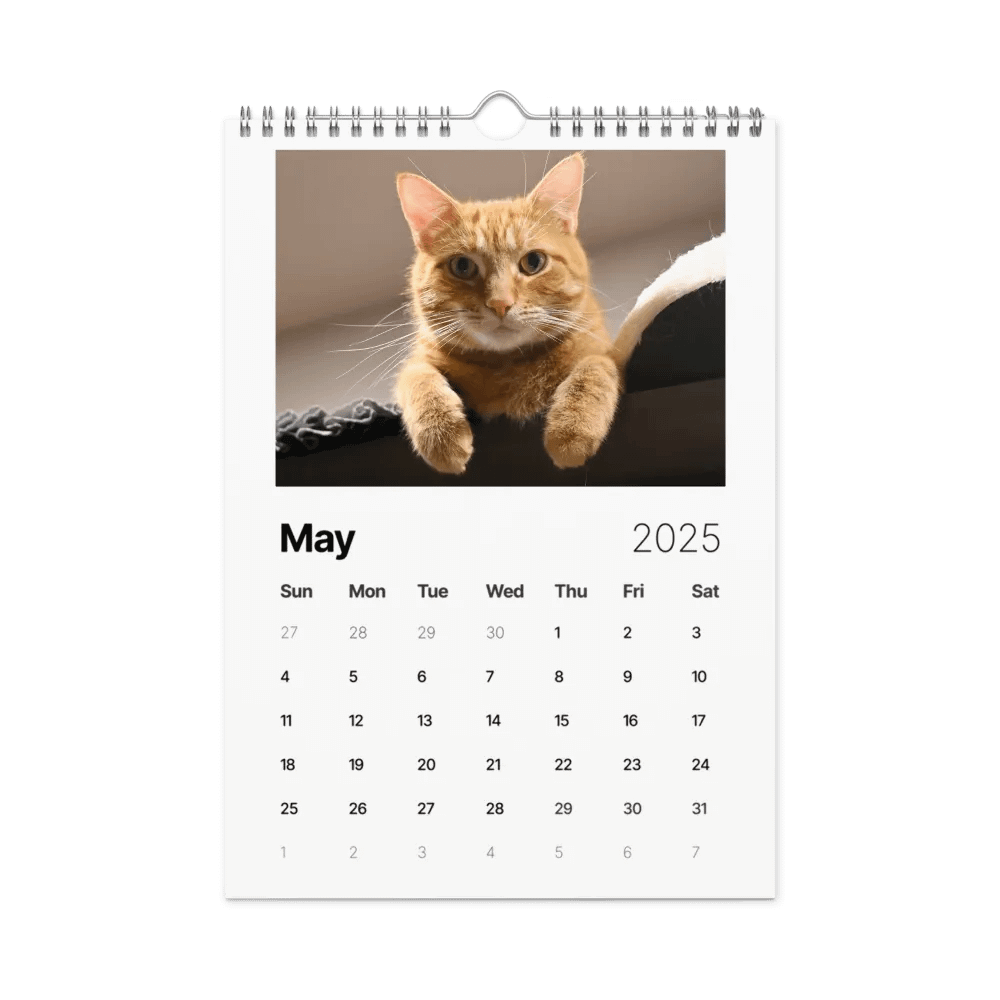 Noah and Friends 2025 Calendar product image (10)