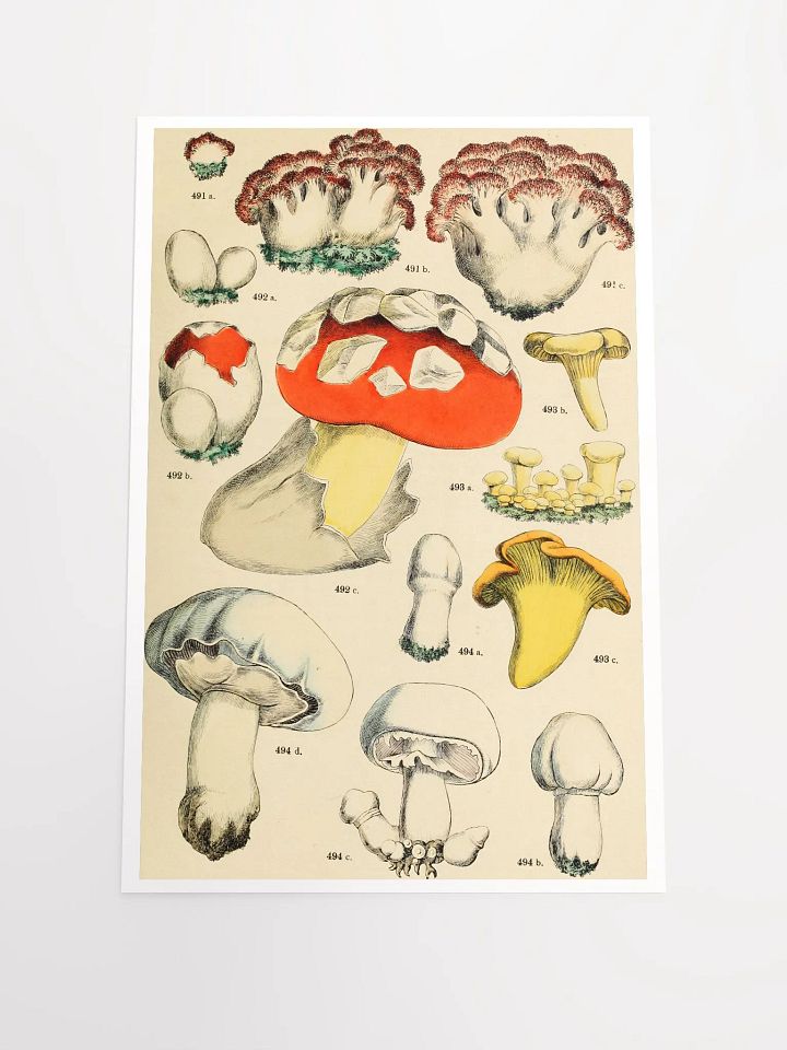 Mushroom Kingdom Illustrated Poster product image (1)