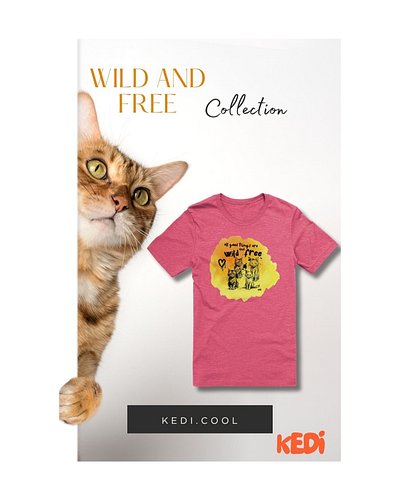 Chill Like a Cat — Shop Soft, Stylish Vibes

Looking for aesthetic, comfy clothes that reflect your inner calm and curiosity?...