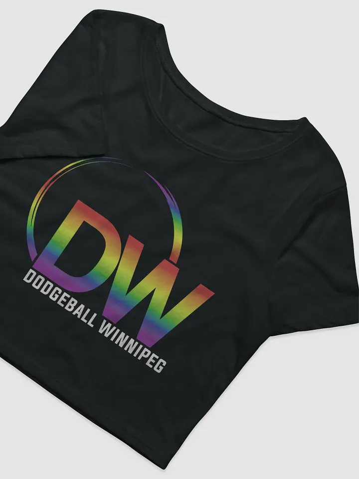 Dodgeball Winnipeg 