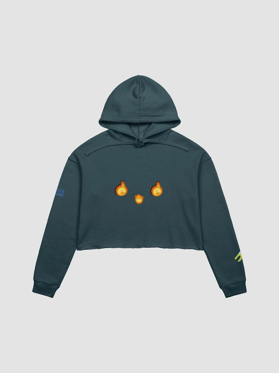 Bevyrage Pullover Crop Hoodie product image (1)