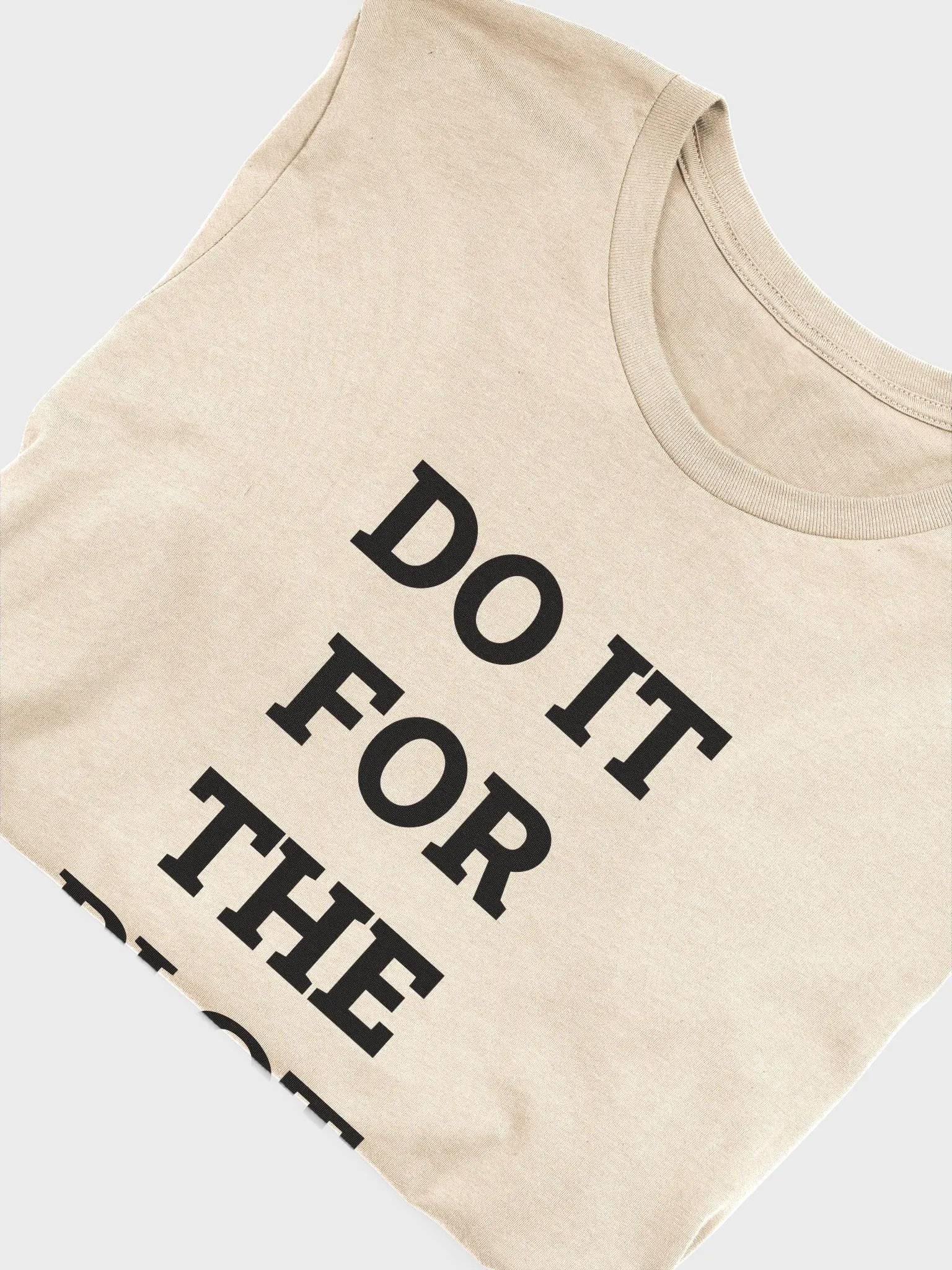 DO IT FOR THE PLOT Supersoft T-Shirt product image (6)