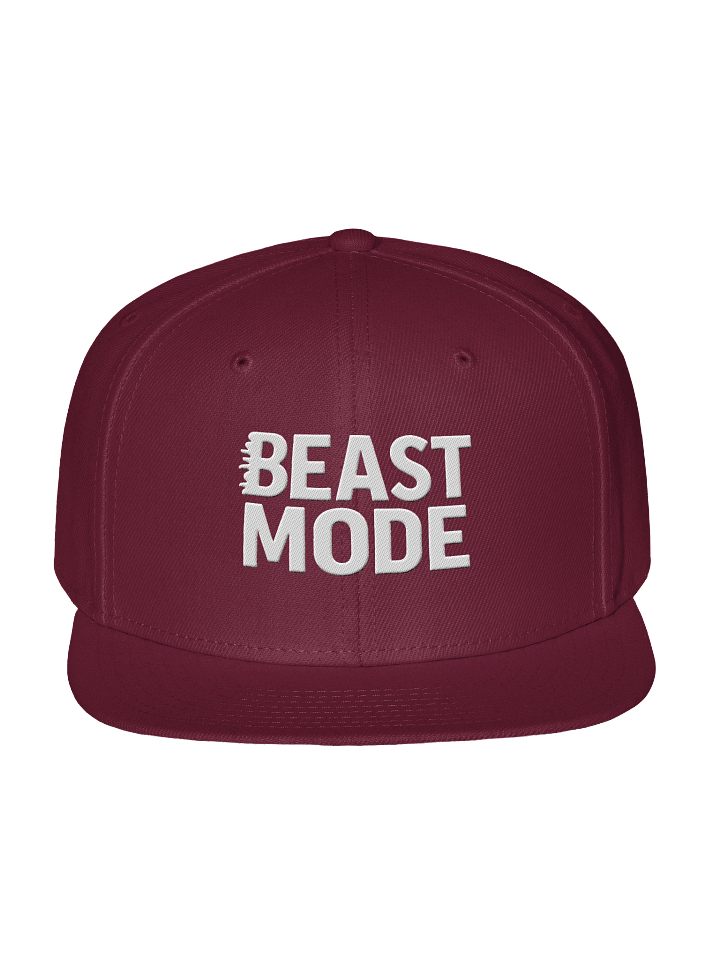BEAST MODE Embroidered Snapback Hat product image (9)