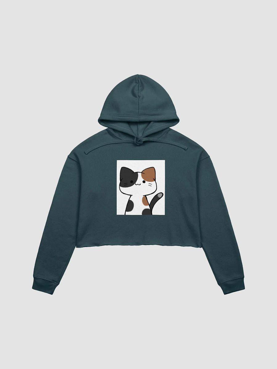 Cute Cartoon Kitty Crop Hoodie product image (7)