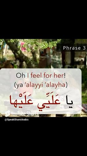 Have some fun and learn Levantine Arabic through TV series 🤗 This clip is from the TV Series “Ya Rayt” Episode 1 which featur...