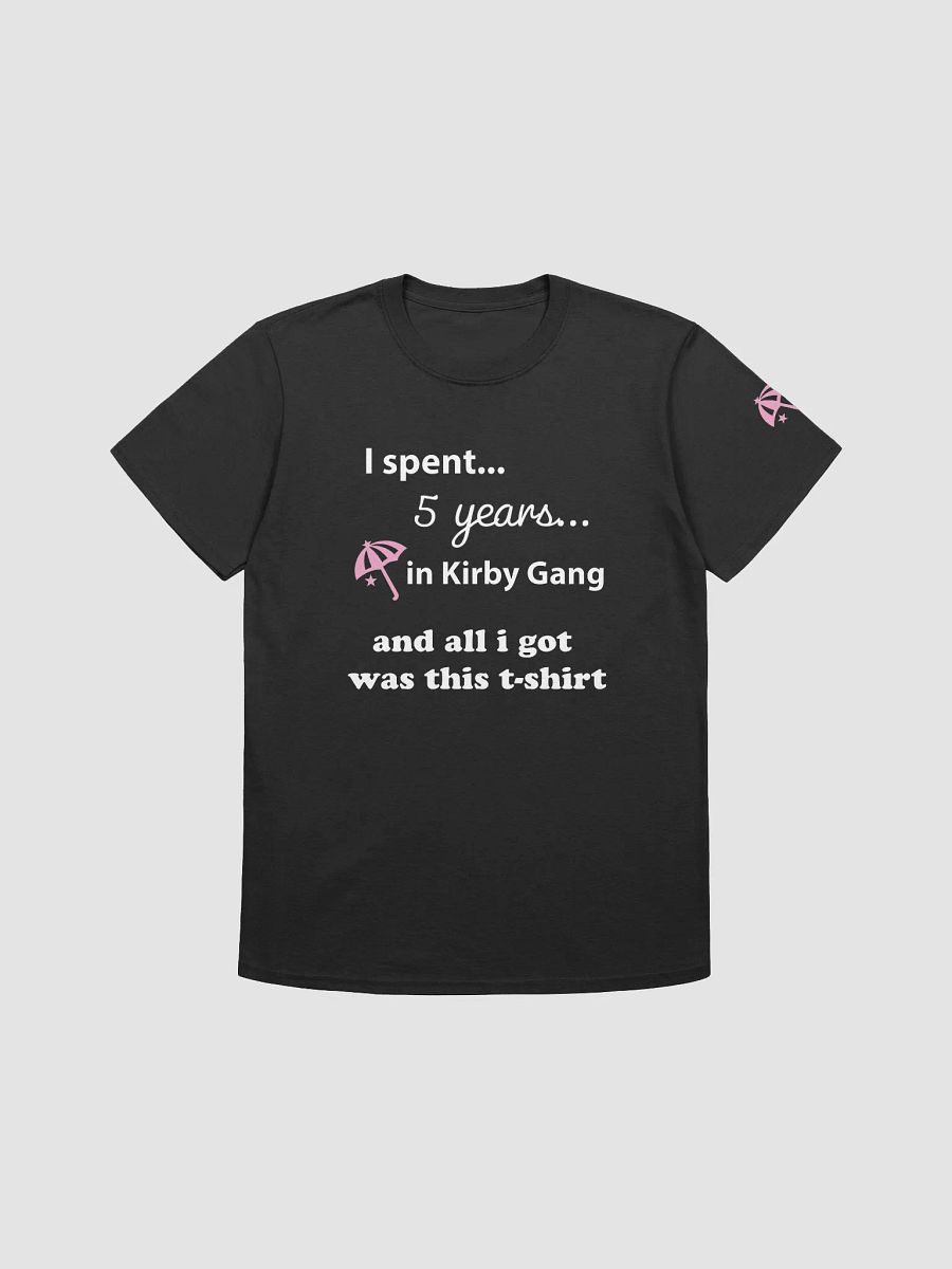 Spent 5 Years Got a T-Shirt product image (3)