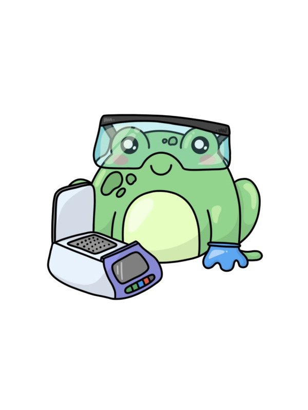 PCR Frog Magnet product image (1)