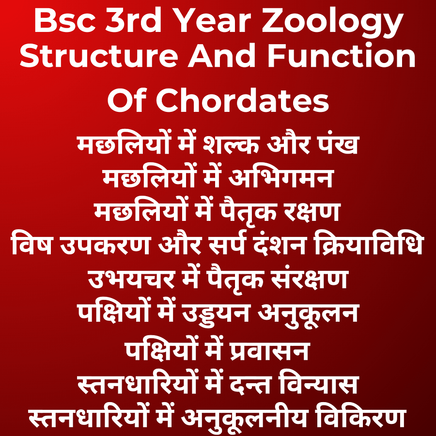 Structure And Function Of Chordates | Bsc 3rd Year Zoology | Unit 3 Notes in Hindi product image (1)