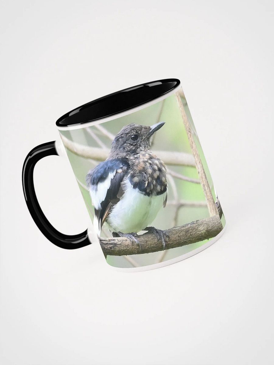 IUCAA Birds: Ceramic Mug with Color Inside product image (3)