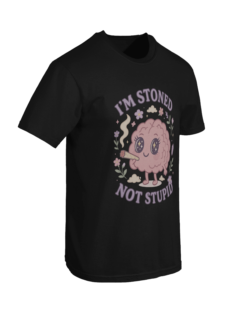 “I’m Stoned, Not Stupid” T-Shirt product image (14)