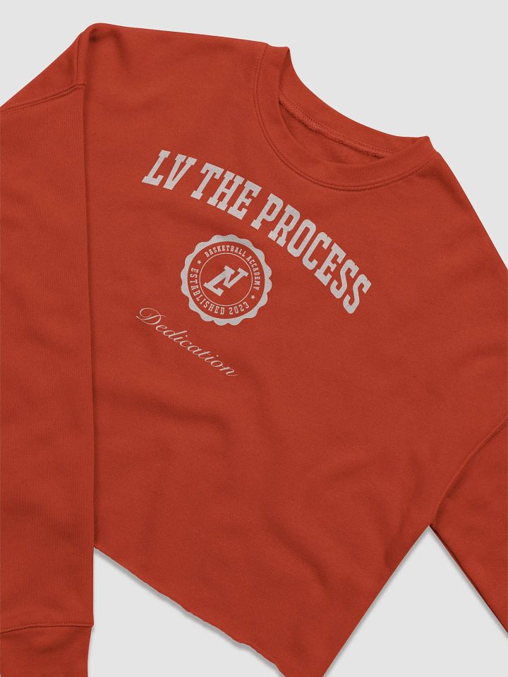 Cropped Collegiate Pullover product image (2)