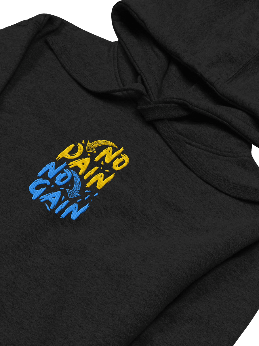 No Pain No Gain! Center Embroidered Hoodie product image (2)