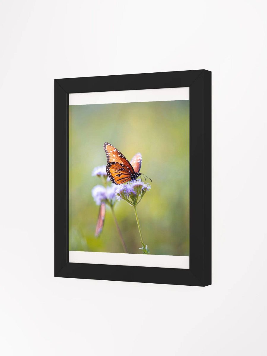 Butterfly In Light product image (21)