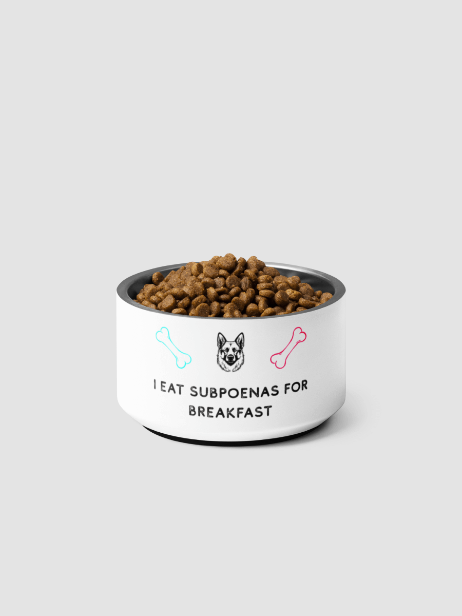 [Ashley Briana Eve] Pet Bowl product image (2)