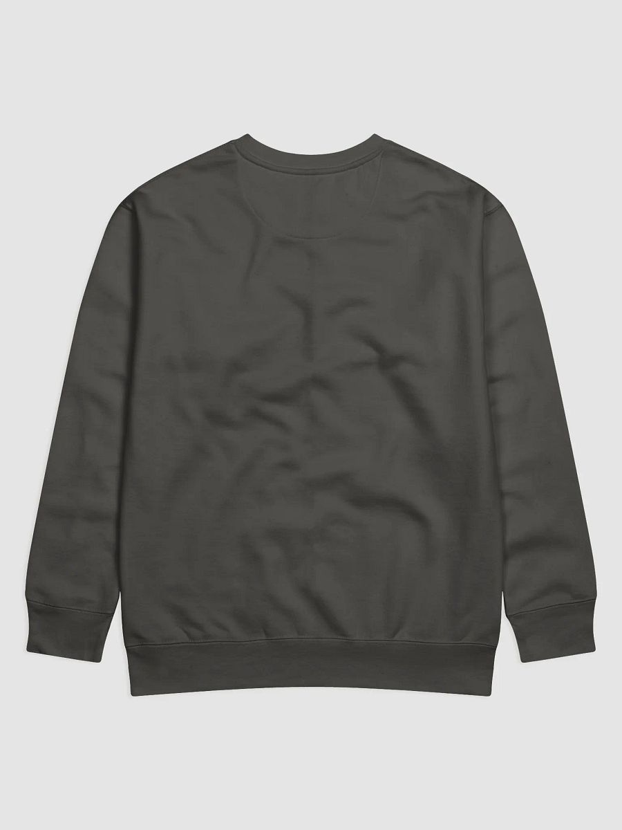 Mirror Image - Sweatshirt product image (2)