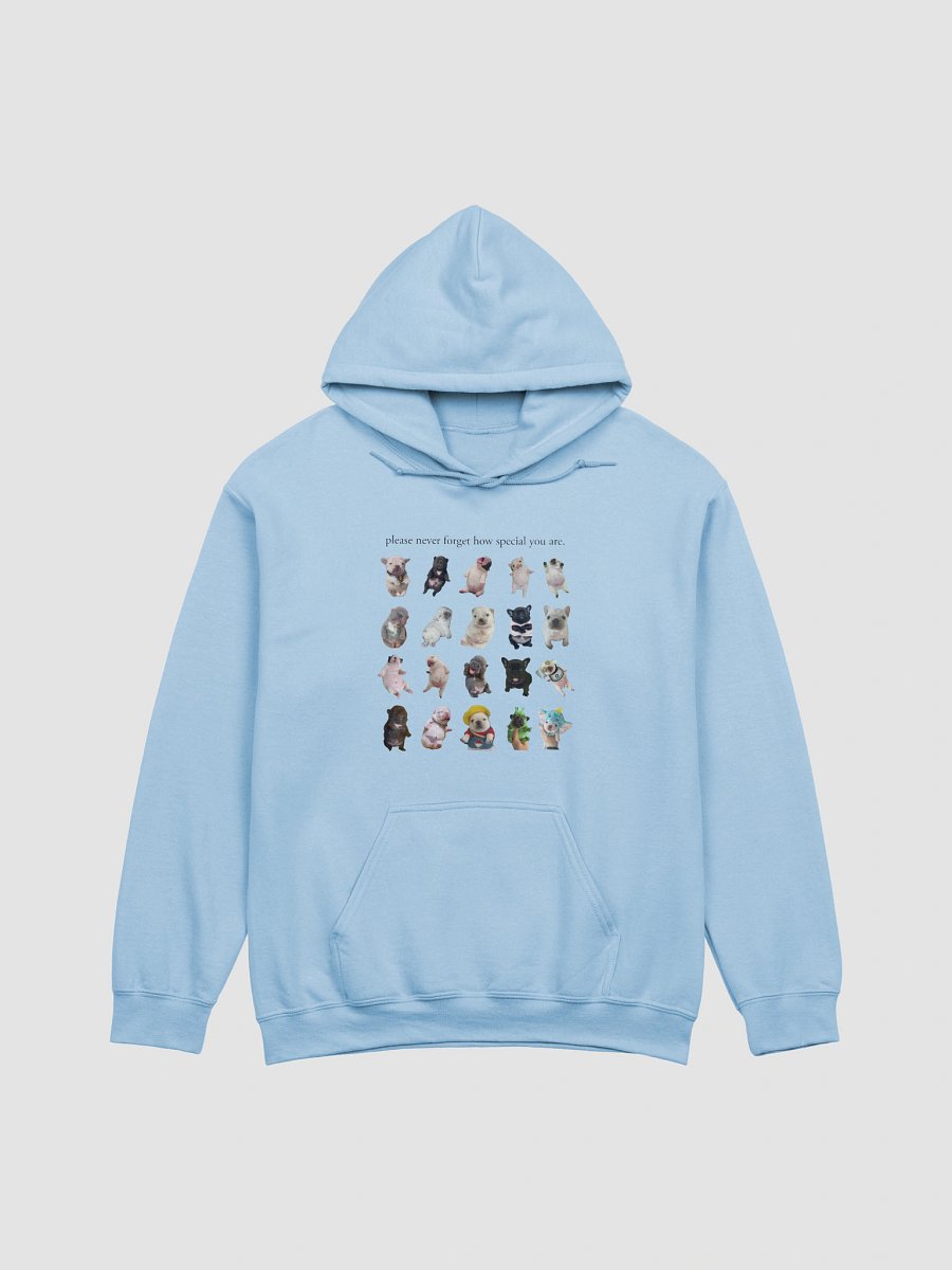 you are so special hoodie (and backside) - light colors product image (1)