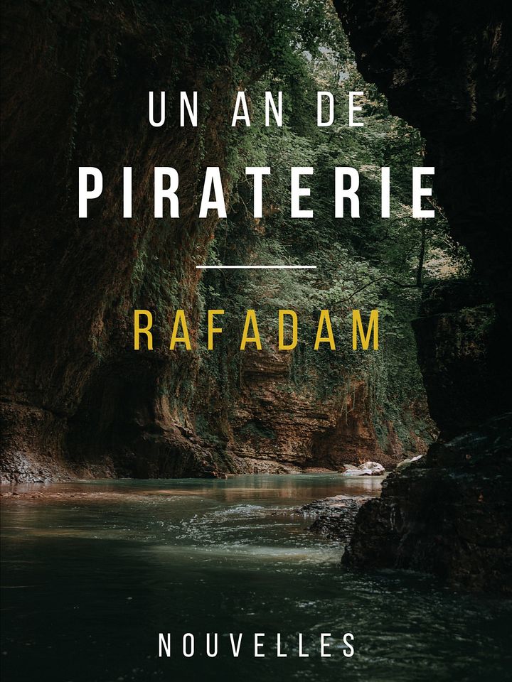 Un an de piraterie (eBook) product image (1)