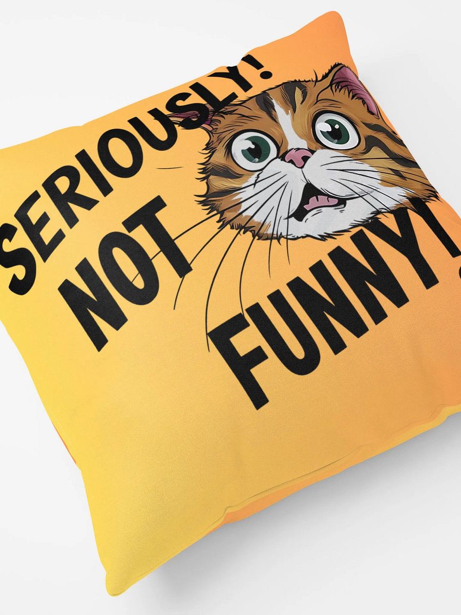 Seriously! Not Funny!