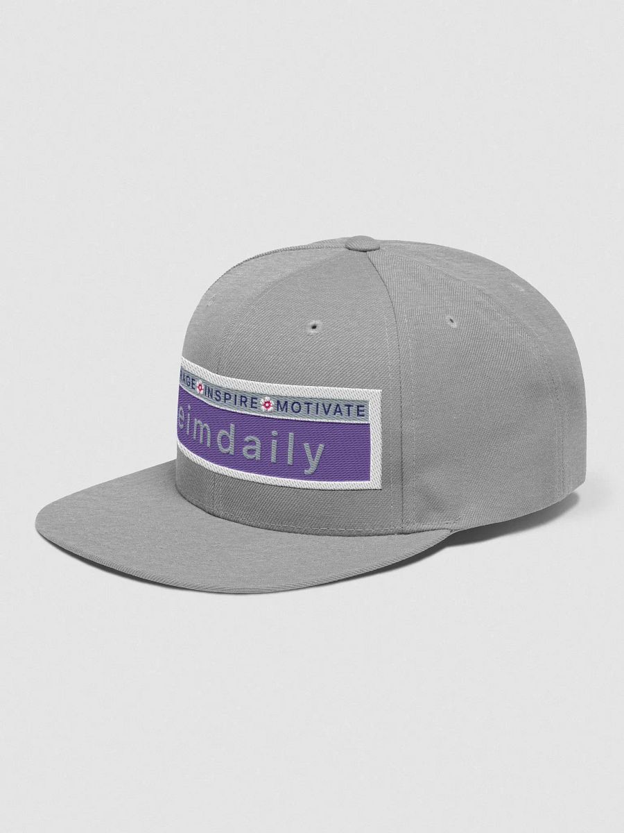 Purple/Gray Logo Cap product image (3)