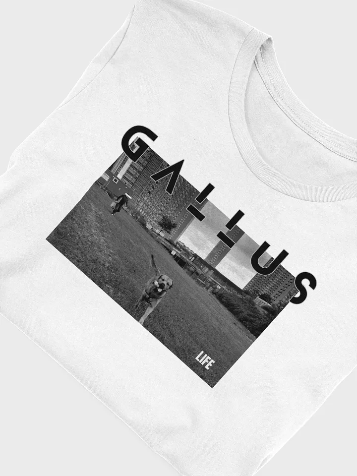 Gallus 2025 Life Collection product image (46)
