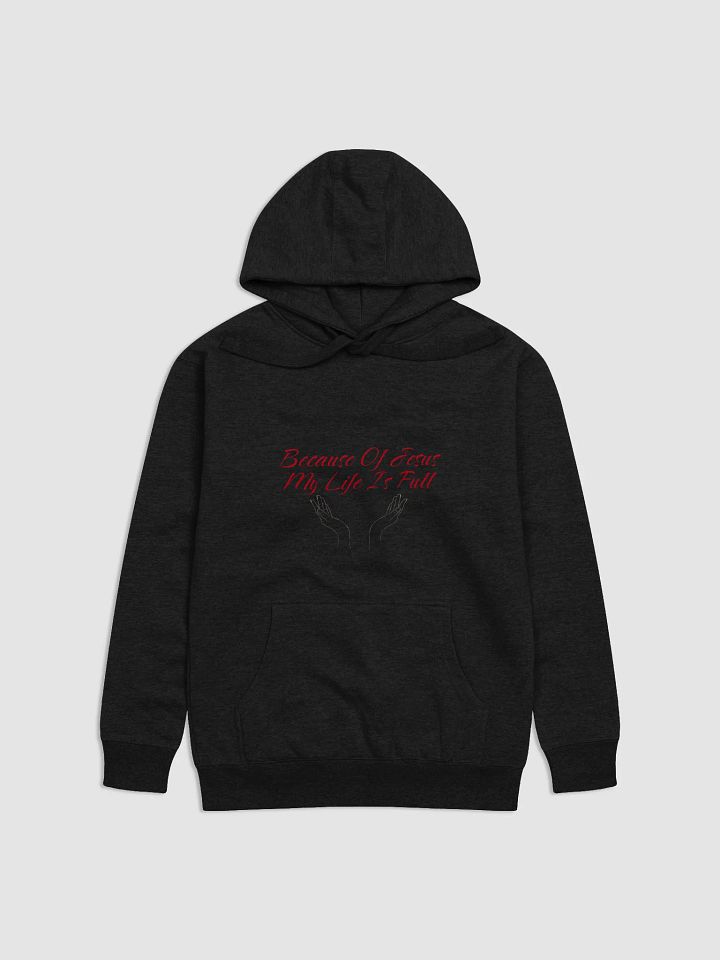 Life Is Full, Bcuz Jesus Hoodie product image (5)