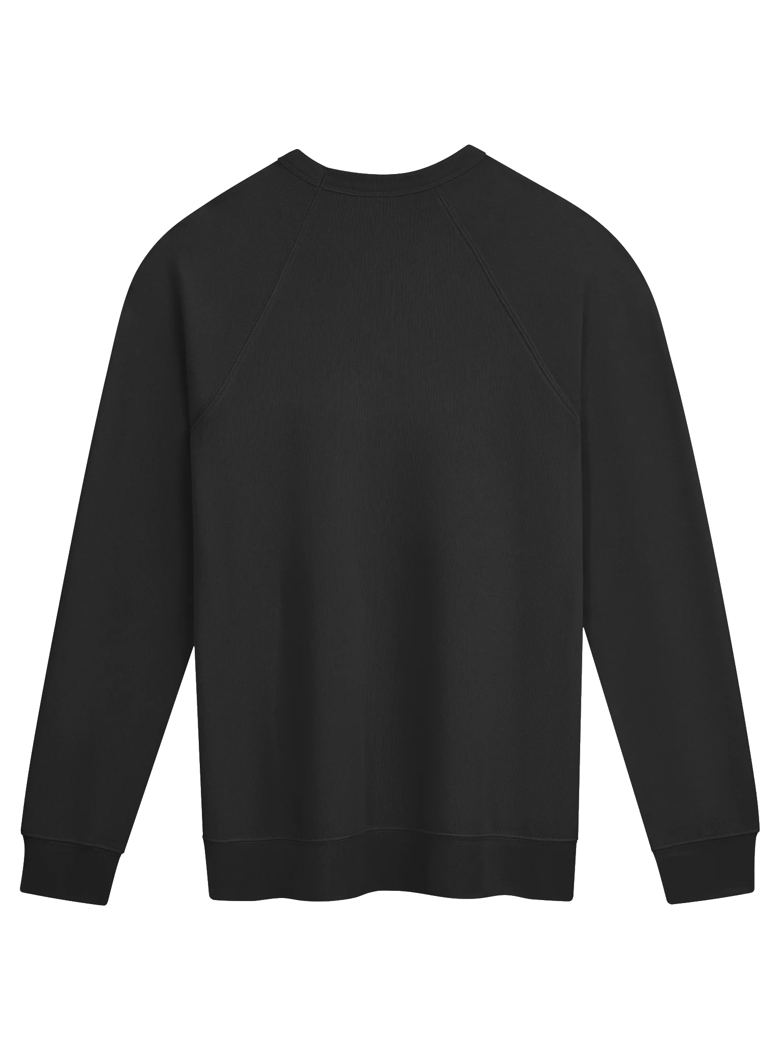 Ecamm Fam Raglan Sweatshirt product image (7)