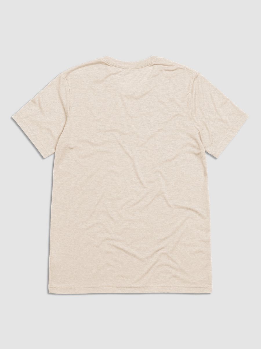 Y'all Need Epicurus LIGHT (Bella+Canvas Triblend Short Sleeve T-Shirt) product image (14)