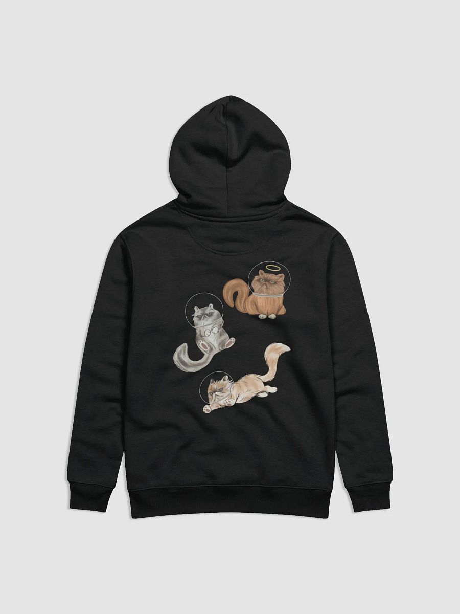 Spacecat Hoodie product image (1)