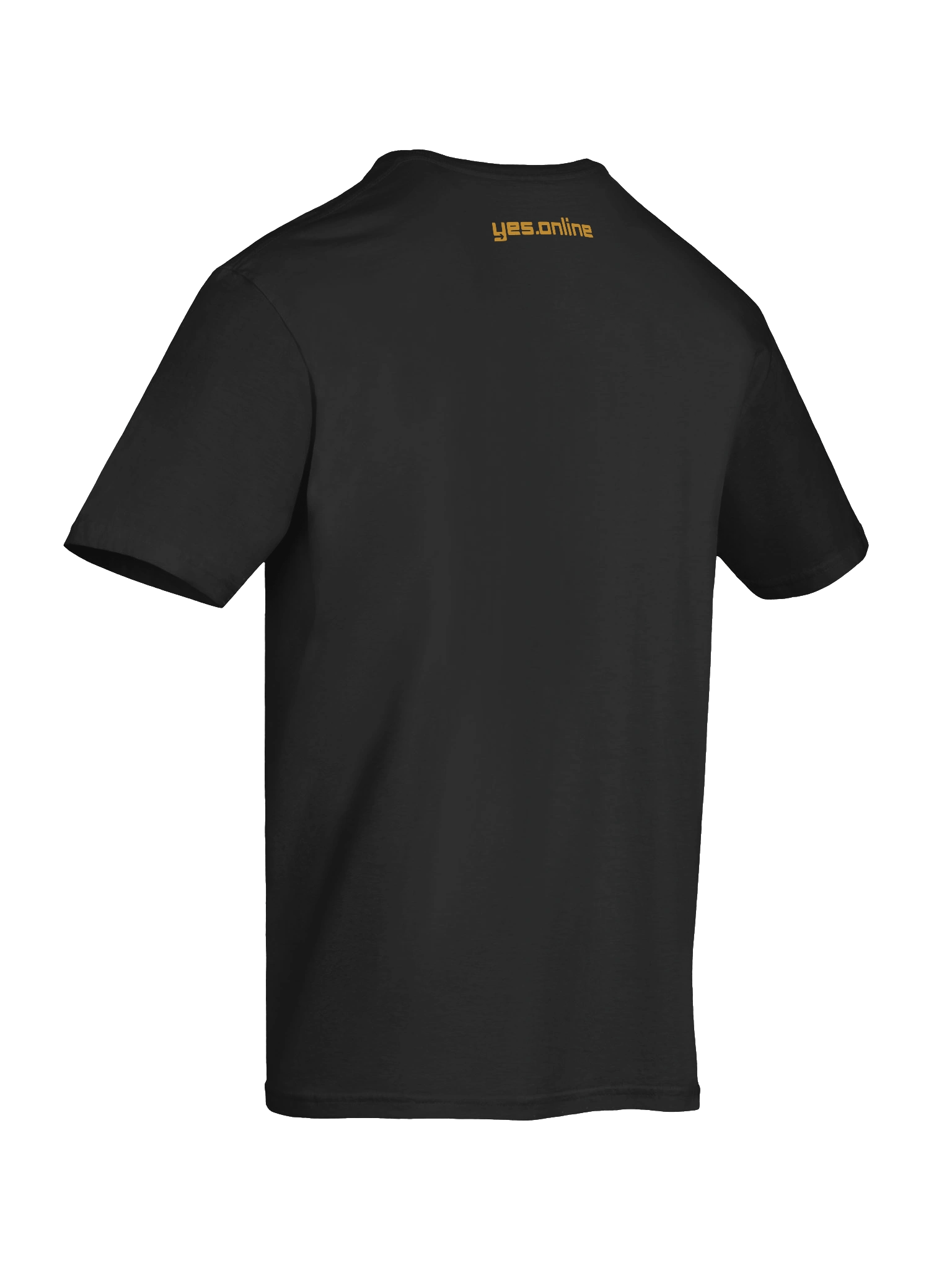 jesus unleashed product image (12)