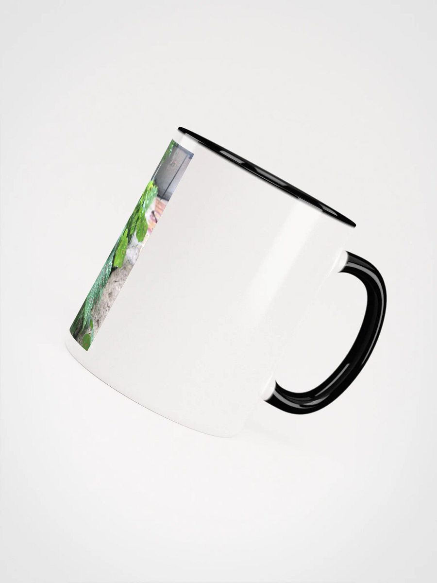 Ceramic Mug with Color Inside (leafs) product image (50)