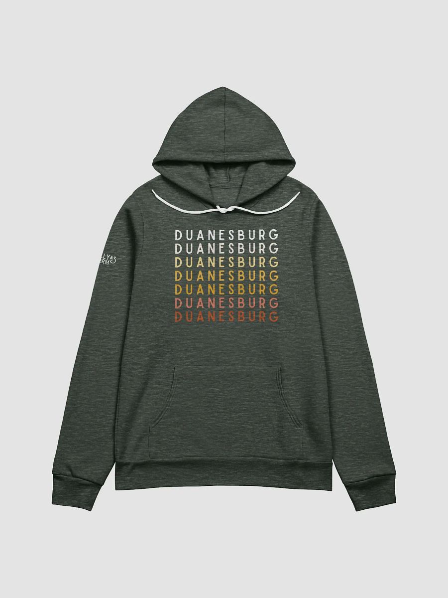 Duanesburg, NY Hoodie product image (2)