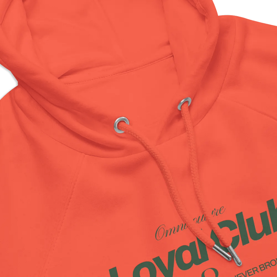 Loyal Club Unisex Eco Raglan Hoodie product image (10)