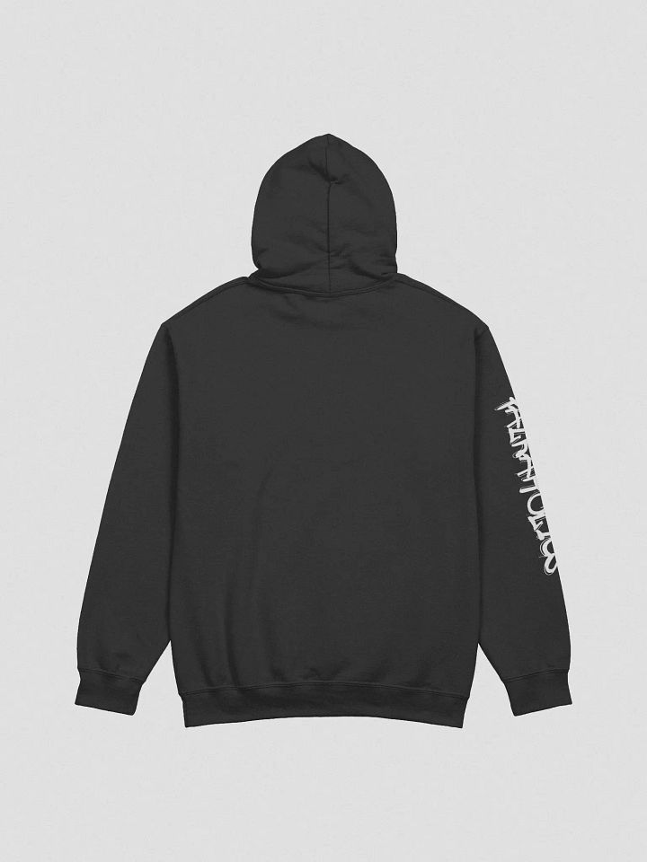 T4P Hoodie, Black/White (Gildan Classic) product image (2)
