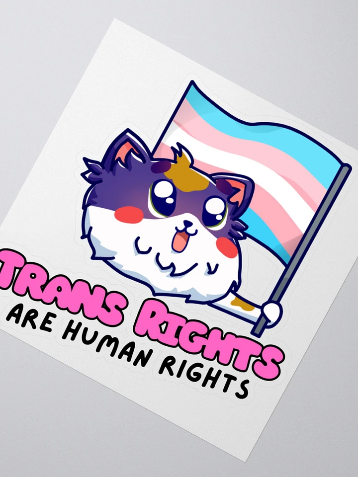 Trans Rights Sticker product image (3)