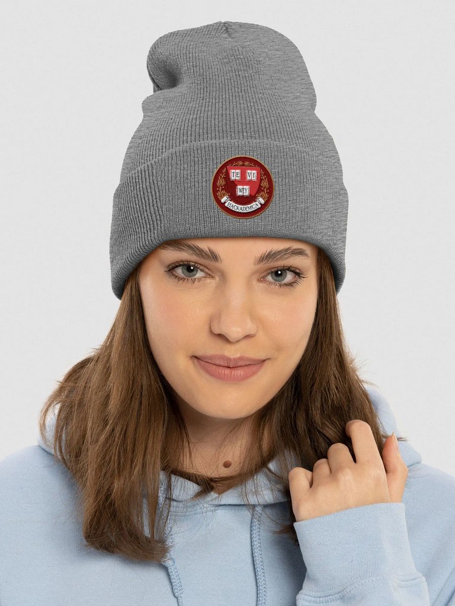 HACKADEMICA BEANIE (Grey) product image (3)