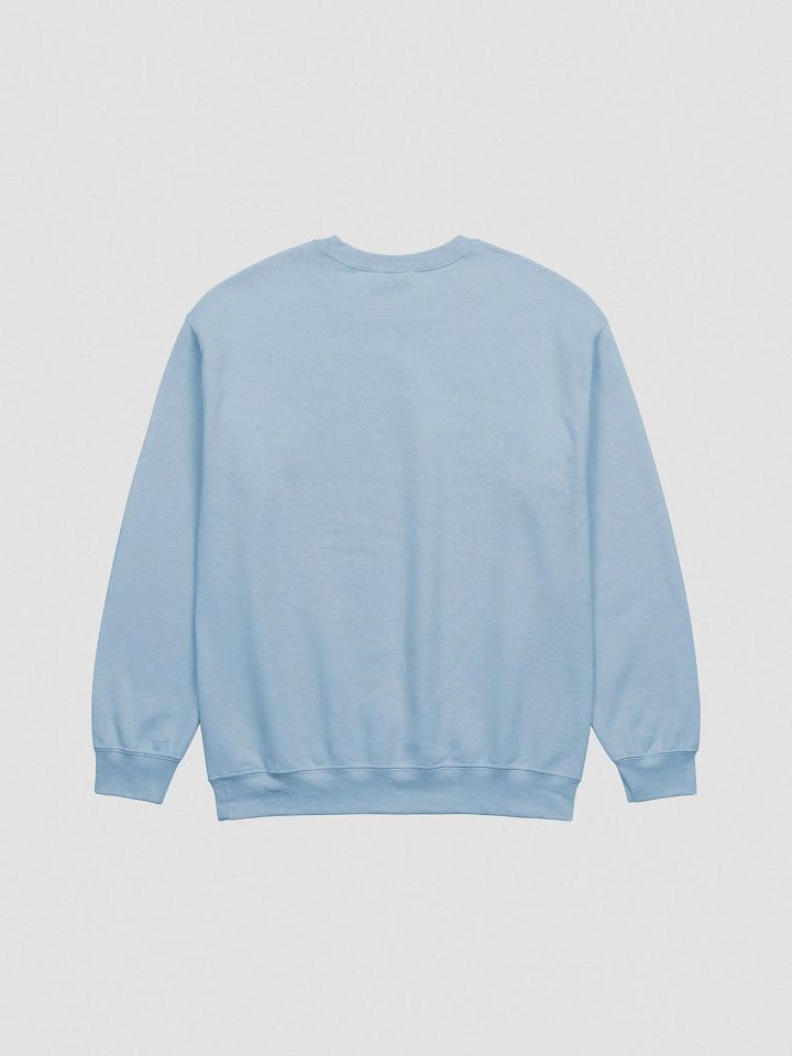 'in my PHOTOGRAPHER era' embroidered crewneck product image (2)