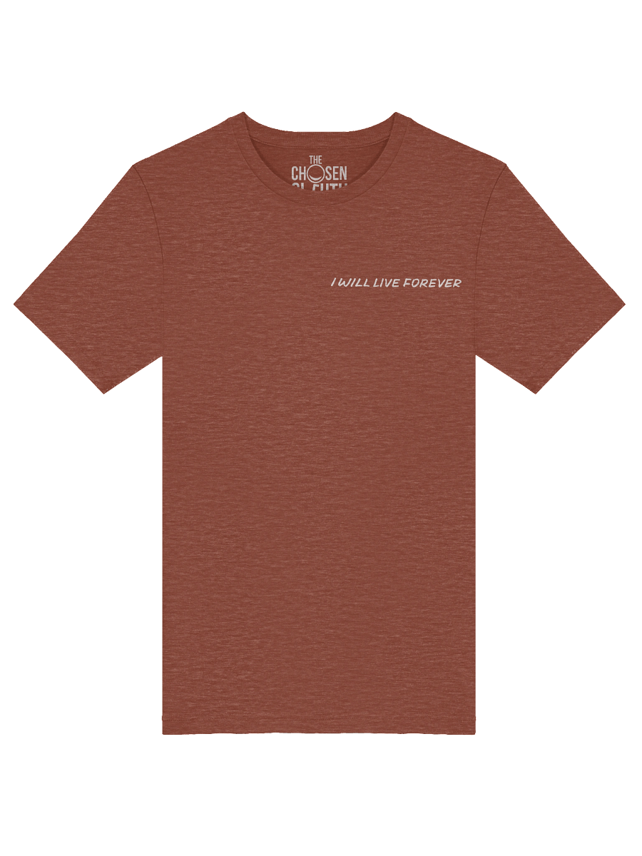Promises: I WILL LIVE FOREVER product image (29)