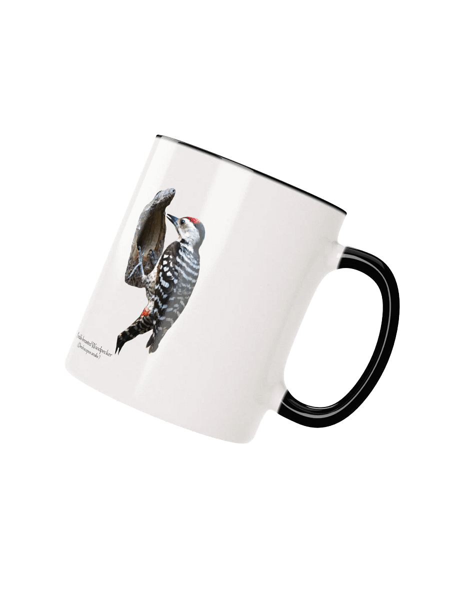 Freckle-Breasted Woodpecker mug product image (15)