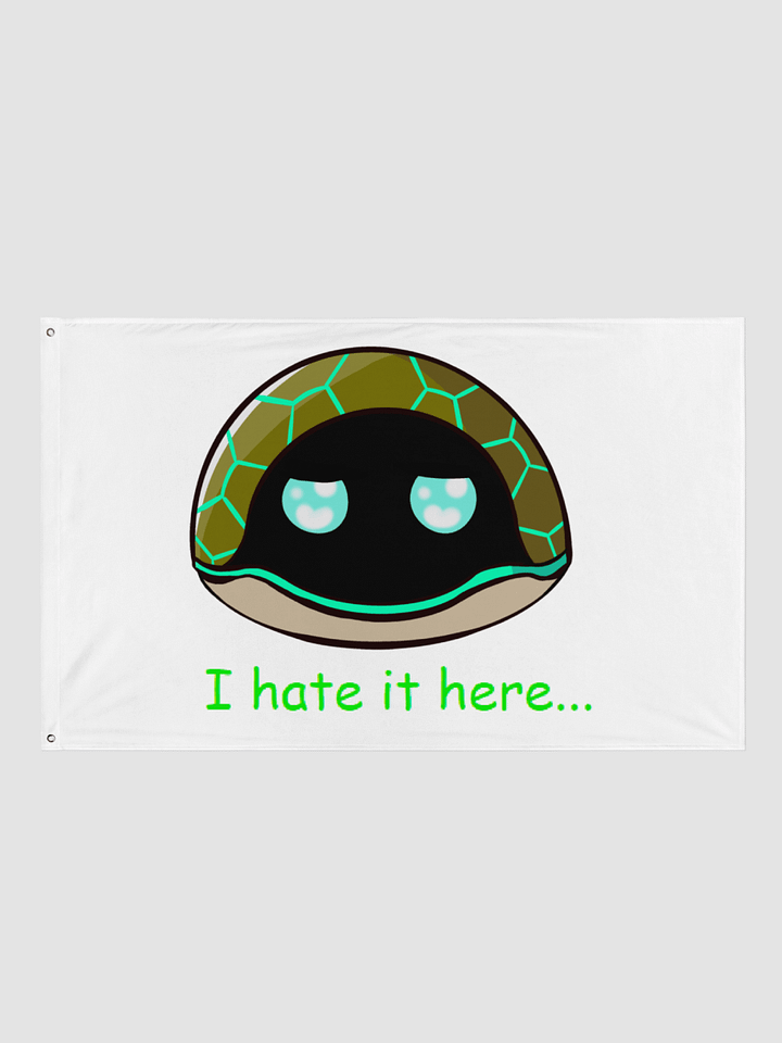 I hate it here... White Flag product image (1)
