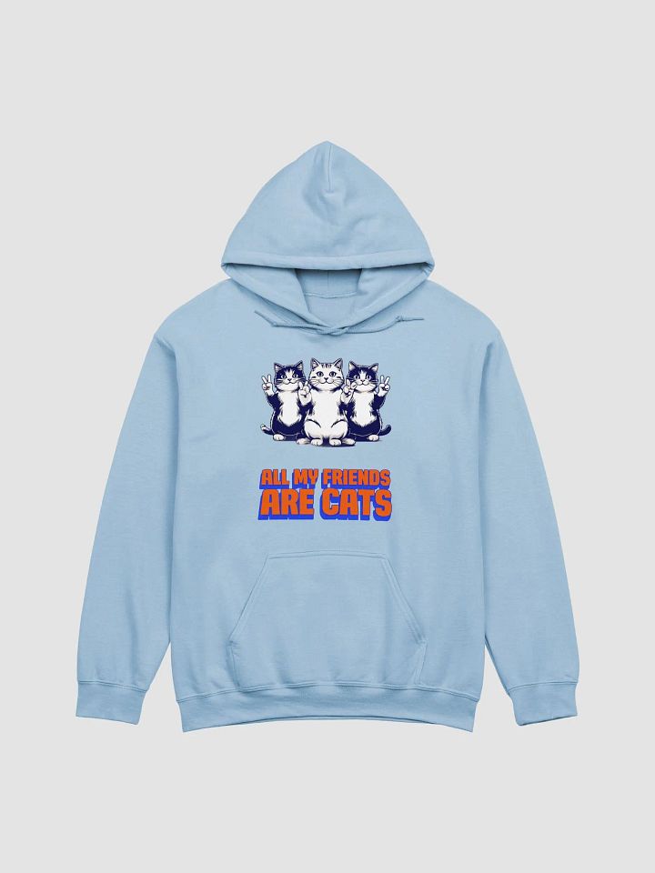 all my friends are cats hoodie product image (1)