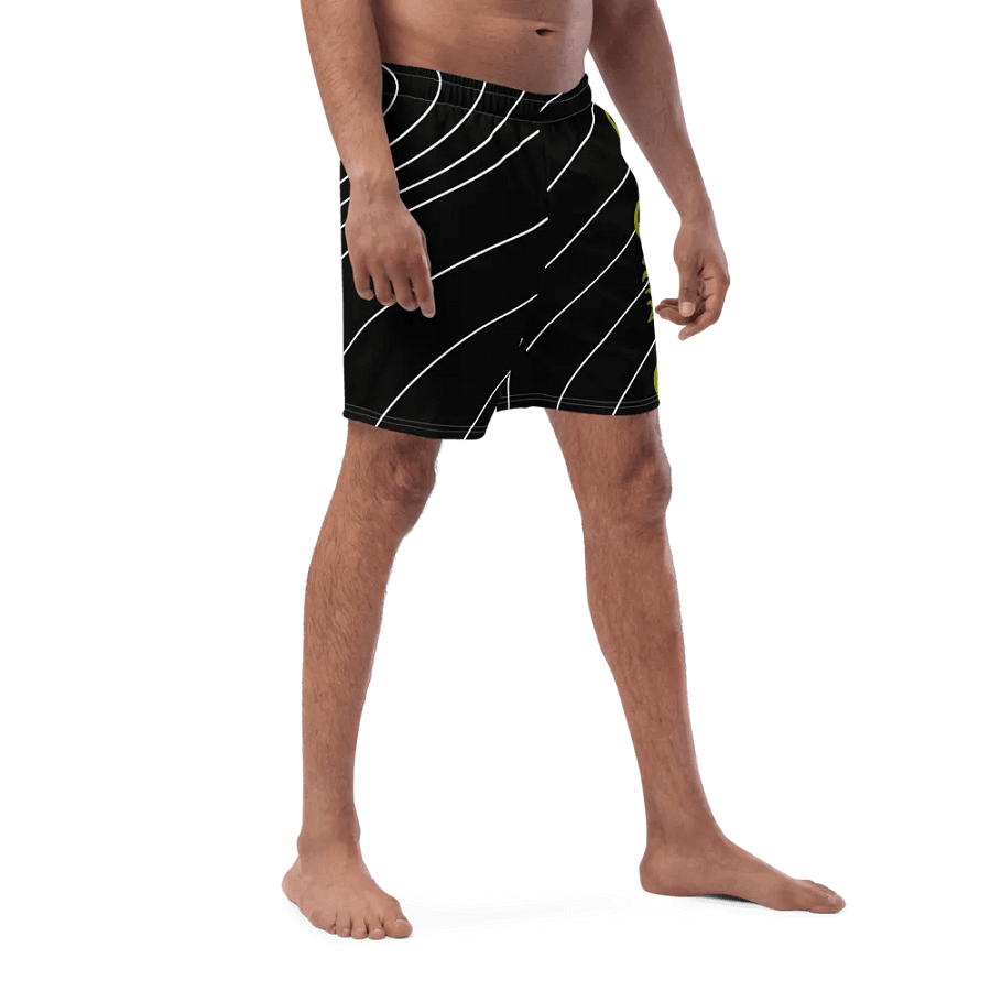 Toke Swim Trunks product image (3)