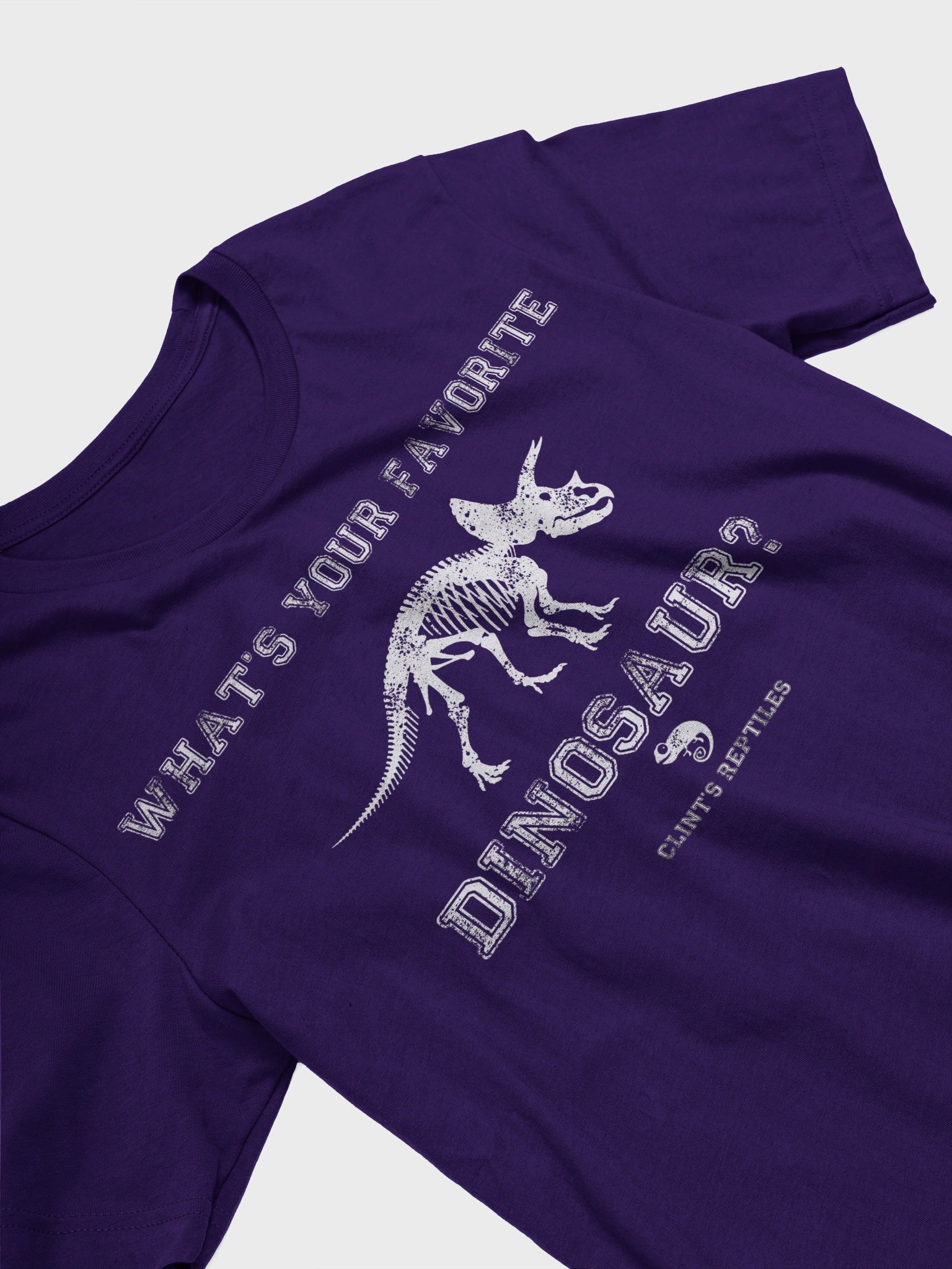 What's Your Favorite Dinosaur? Triceratops Shirt product image (29)