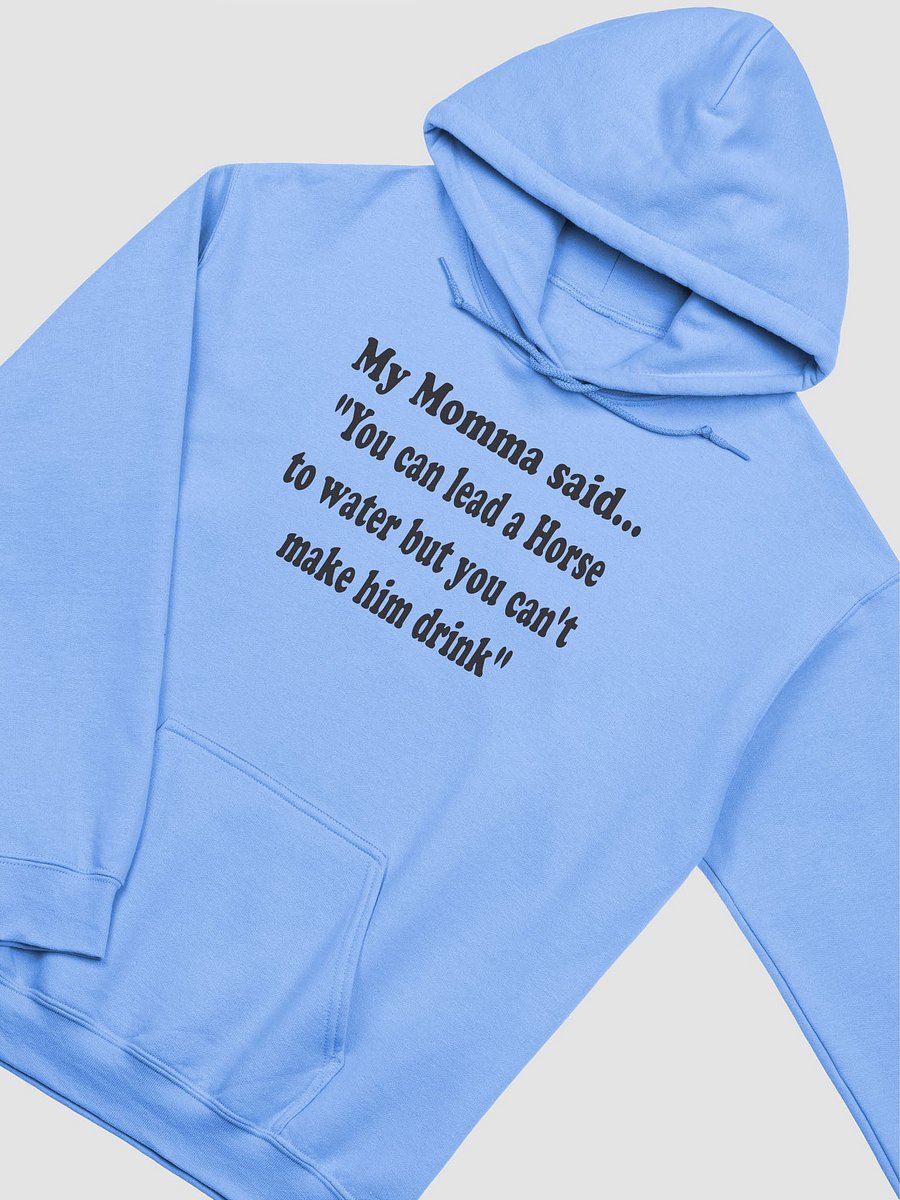 You Can Lead a Horse to Water but You Can’t Make Him Drink hoodie product image (29)