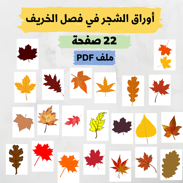 أوراق الشجر في فصل الخريف - pdf product image (1)